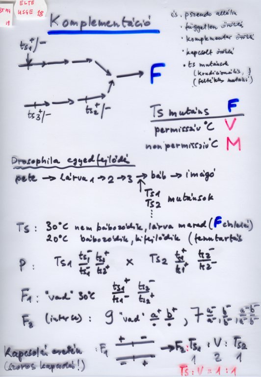 beolvass0122.jpg