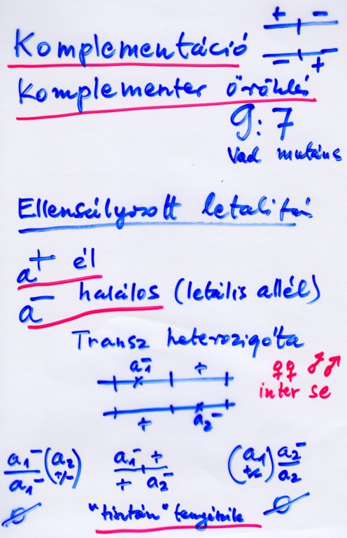 beolvass0123.jpg