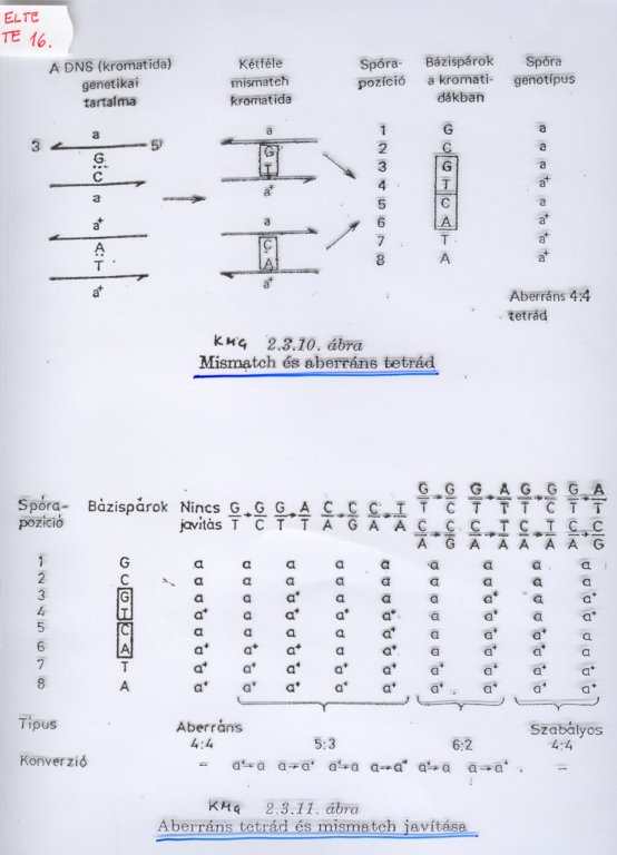 beolvass0038.jpg