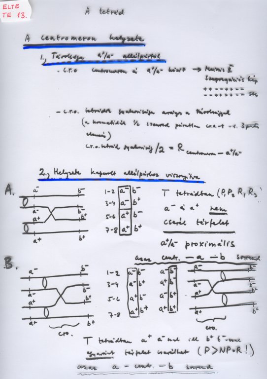 beolvass0040.jpg