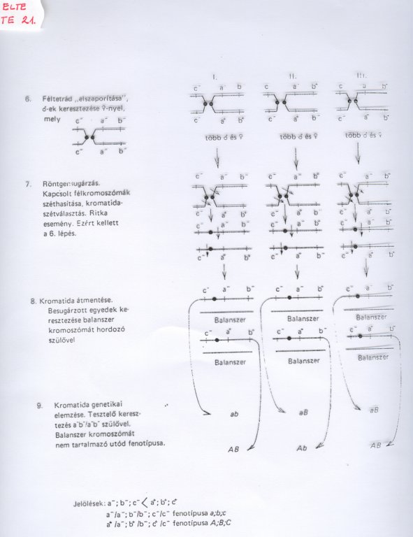 beolvass0046.jpg