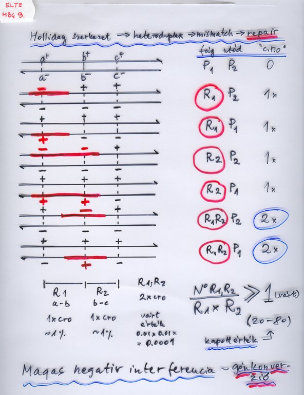 beolvass0065.jpg