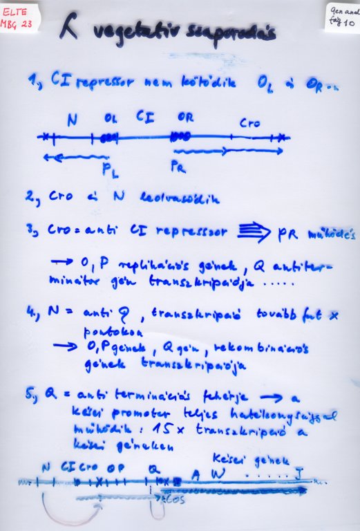 beolvass0085.jpg