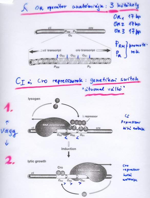 beolvass0093.jpg