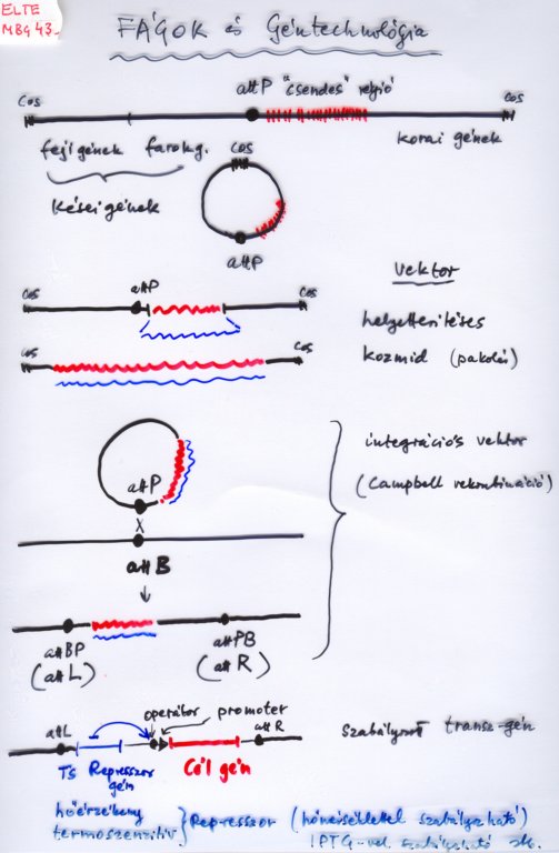 beolvass0102.jpg