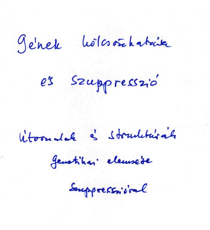 photo27.jpg